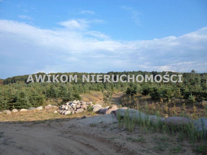 Grzegorzewice 13 900 000 zł 2463220 m2 - zdjęcie 1