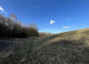 Działka 2,15 ha z potencjałem koło Nałęczowa. miniaturka 5