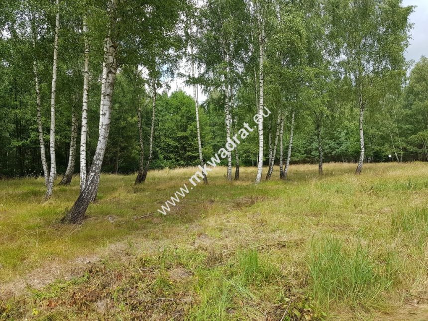 Działka Budy Grzybek 3000 m2 - zdjęcie 1