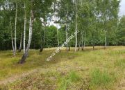 Działka Budy Grzybek 3000 m2 miniaturka 1