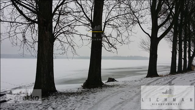 Zarzęcin, 300 000 zł, 1.14 ha, droga dojazdowa utwardzona miniaturka 3