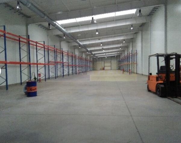 Wysoki skład, wylot na Gdańsk miniaturka 5