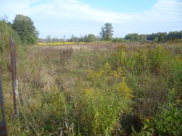 Działka budowlana o powierzchni 950 m2.