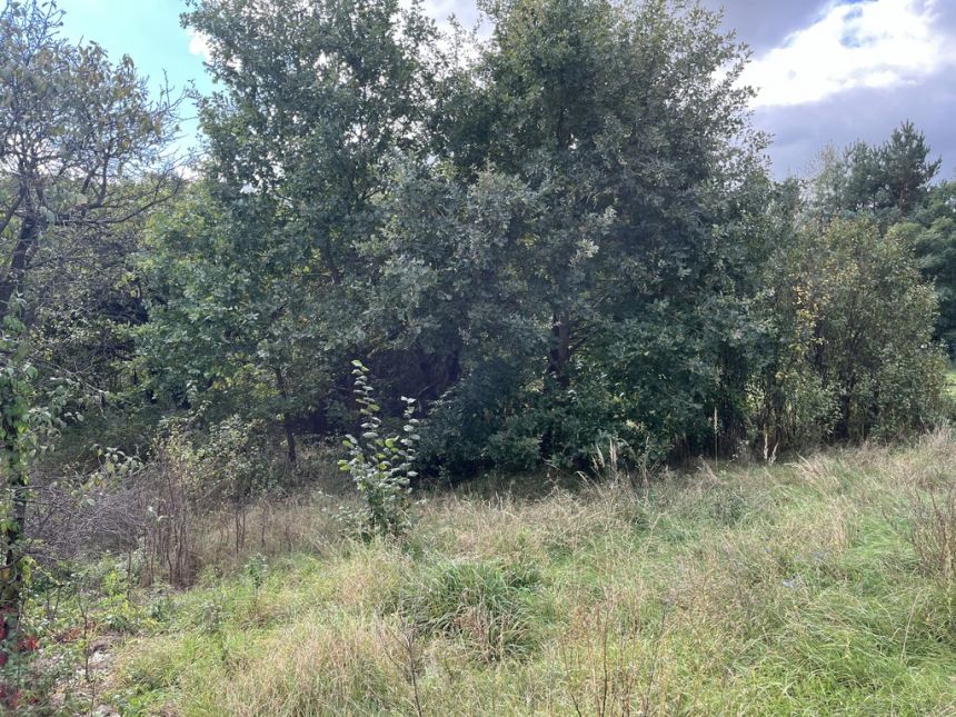 Działka 1441 m2 prze drodze 747 w Lipie Miklas. miniaturka 7