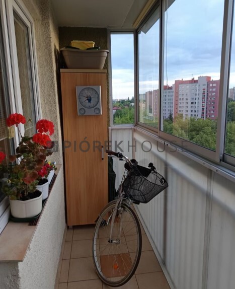 3-pokojowe mieszkanie na Bielanach miniaturka 5