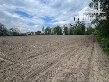 Duża działka w Jaźwinie