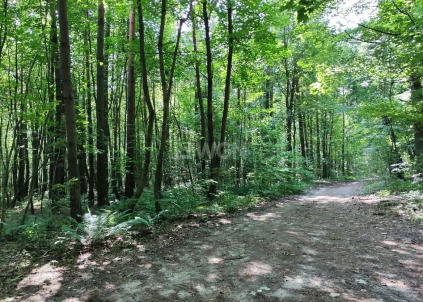 Brzuśce, 580 000 zł, 3.19 ha, bez nasadzeń miniaturka 4