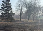 Chyby, dolne,Okazja, działka bud., starodrzew miniaturka 6