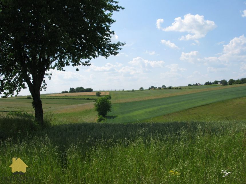 Działka RM 491M2 JASTKÓW miniaturka 2