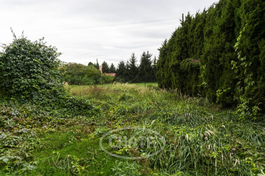 Lutynia, 725 000 zł, 100 m2, wolnostojący miniaturka 12
