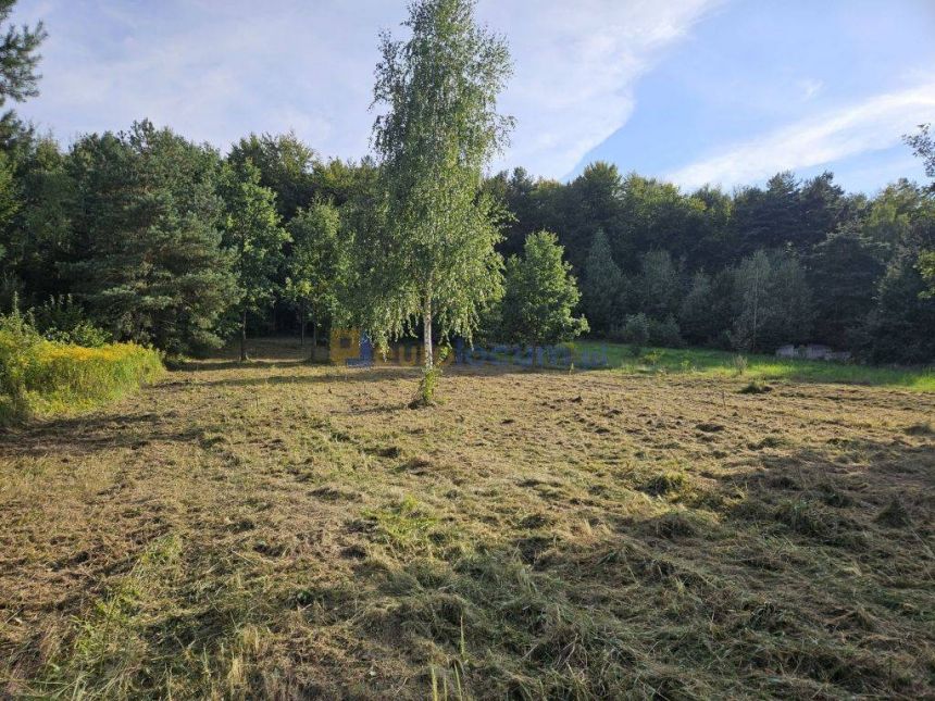 Działka budowlana z własnym lasem miniaturka 2