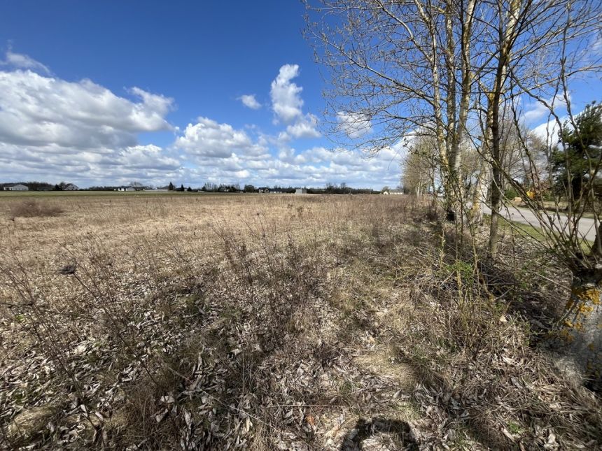 Działka 2940 m2 z WZ w Przyłęku pow. Zwoleń. miniaturka 8