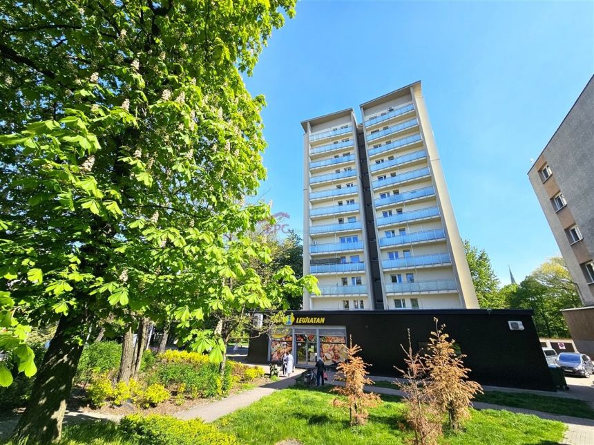 MIESZKANIE W POBLIŻU PARK KOŚCIUSZKI, OD RĘKI! - zdjęcie 1