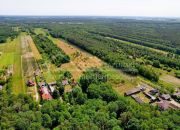 Kazimierz Dolny Siedliskowa Las rekreacja miniaturka 13