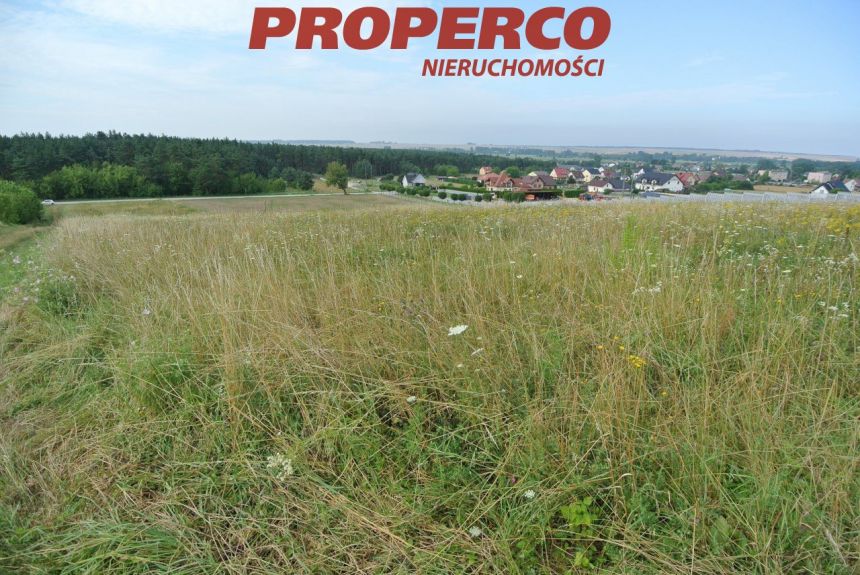 Działka 4900m2, Sobków miniaturka 5