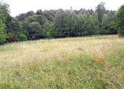 Duża działka z domem do remontu miniaturka 10