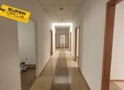 Kraków Uzdrowisko Swoszowice, 8 640 zł, 216 m2, pietro 1 miniaturka 1
