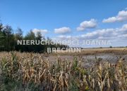 Wilkszyn, 5 999 000 zł, 3.08 ha, budowlana miniaturka 2