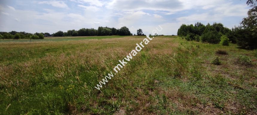 Wyjątkowa Działka rolna do podziału na budowlane! miniaturka 8