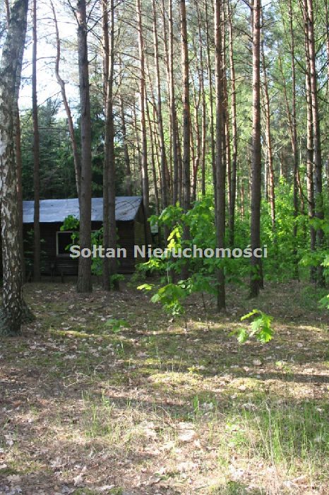 Łaskarzew, 6 000 000 zł, 5.54 ha, usługowa miniaturka 7