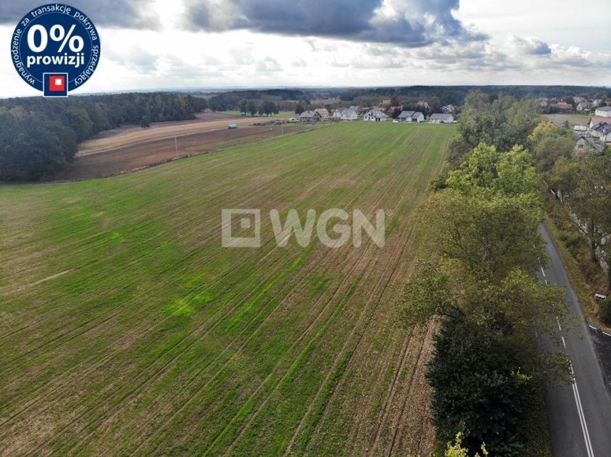 Brzeźnik, 2 450 000 zł, 3.5 ha, droga dojazdowa asfaltowa - zdjęcie 1