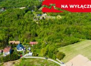 Działka rolno-budowlana z lasem miniaturka 5