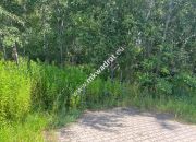 Działka budowlana 6577 m2 Radonie z MPZP miniaturka 9
