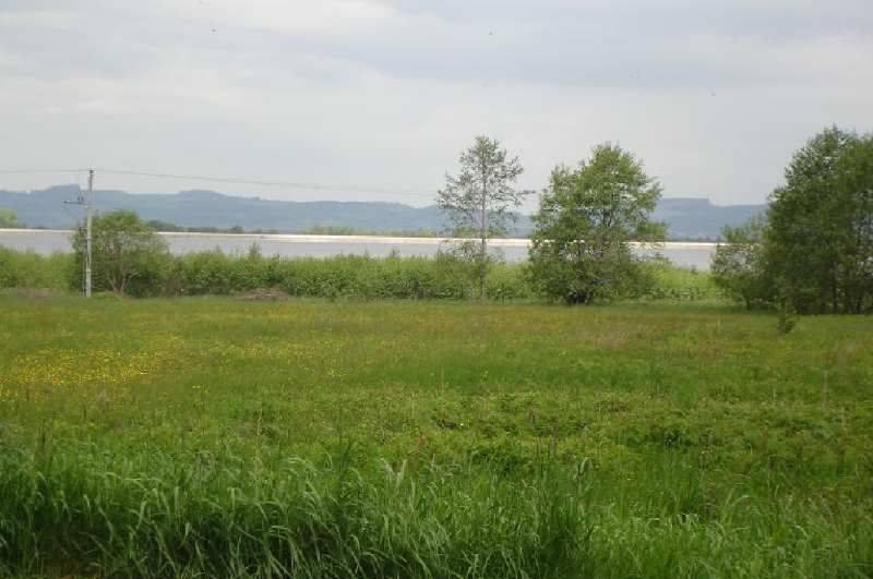 Grunt  na sprzedaż, Sosnówka, 1865.00 m2 miniaturka 6
