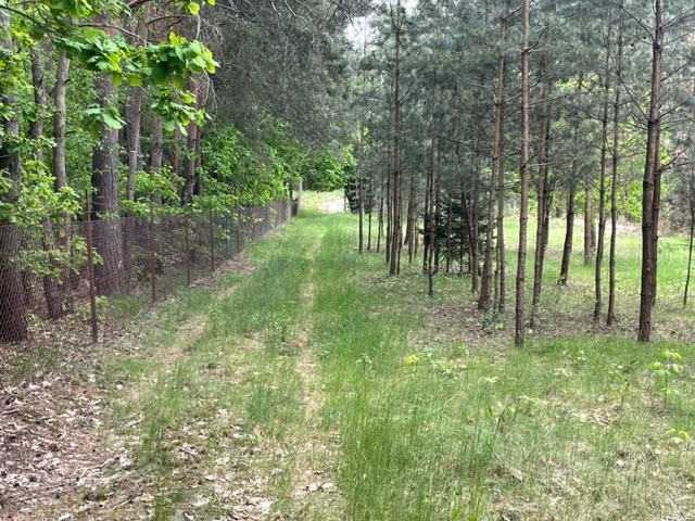 OKAZJA! Działka budowlana las Radzymin/Rejentówka miniaturka 15