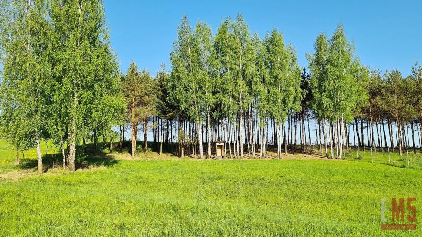 Krynice, 279 000 zł, 21.81 ar, droga dojazdowa gruntowa miniaturka 1