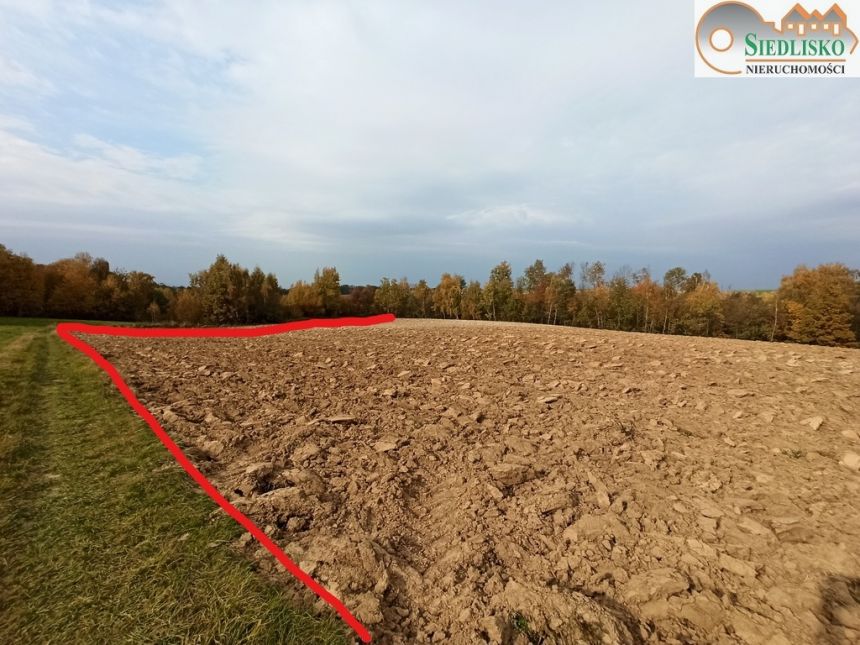 Działka z rozległą panoramą widokową. miniaturka 14