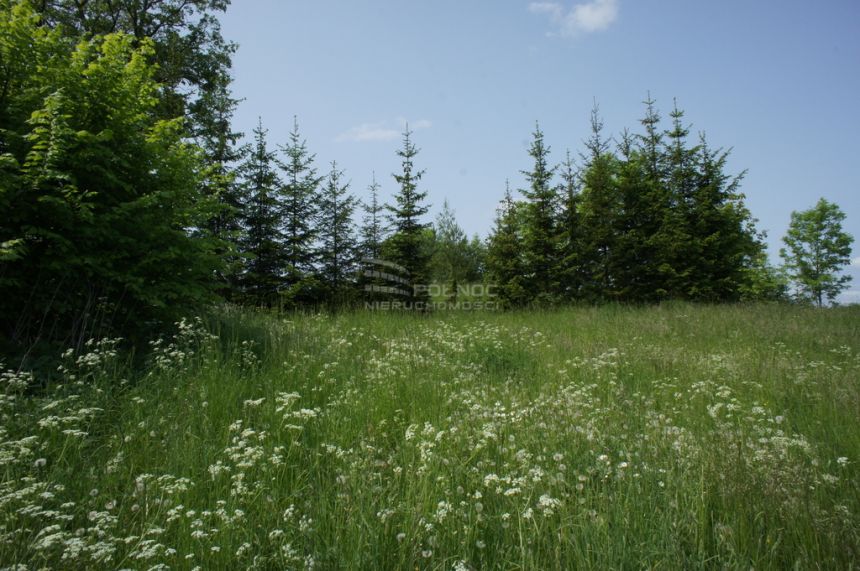 Urocza działka, jezioro Zdedy Mazury k/Ełku miniaturka 10