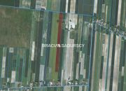 Prandocin-Iły, 297 000 zł, 3.05 ha, rolna miniaturka 6