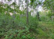 Blisko ul. Kąckiej, z prywatnym lasem. miniaturka 4