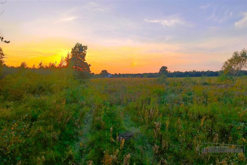 Działka letniskowa-budowlana nad jez. Wierzchowo. miniaturka 15