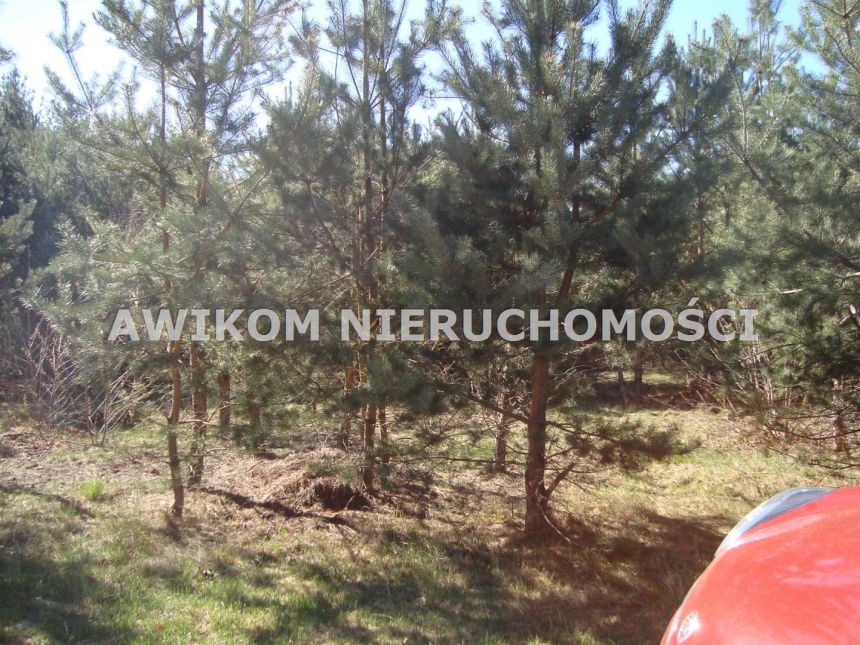 Adamów-Parcel, 270 000 zł, 15 ar, woda w drodze - zdjęcie 1