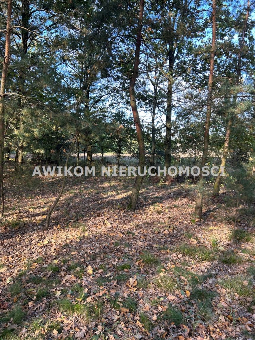 Wilczkowo, 225 450 zł, 30.06 ar, budowlana miniaturka 3
