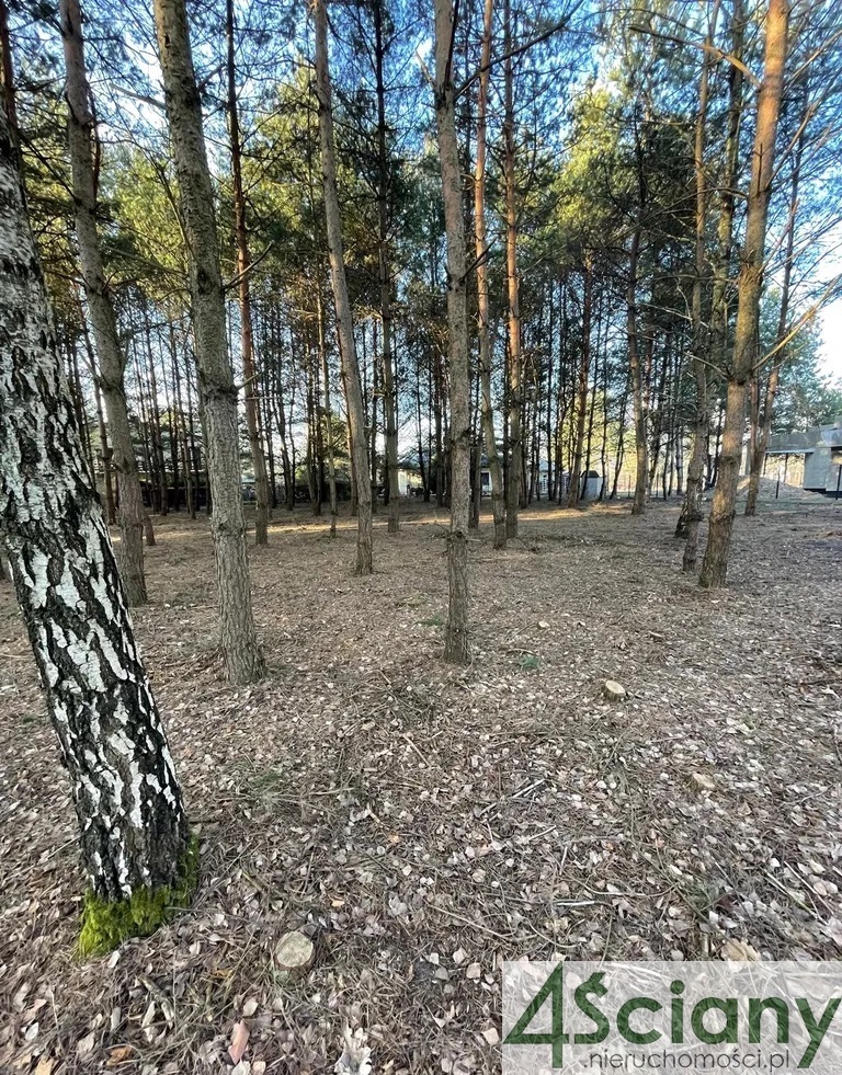 Musuły, 700 000 zł, 30 ar, prostokątna miniaturka 4