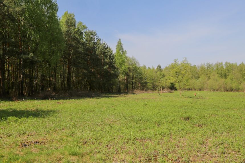 4 działki rolno-budowlane- Bielcza- Małopolska miniaturka 8