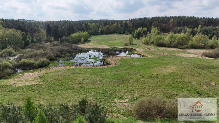 Rzepowo, 495 000 zł, 3.15 ha, rolna miniaturka 15