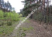 Piękna działka otoczona lasem 2564 m2, Czarny las miniaturka 7