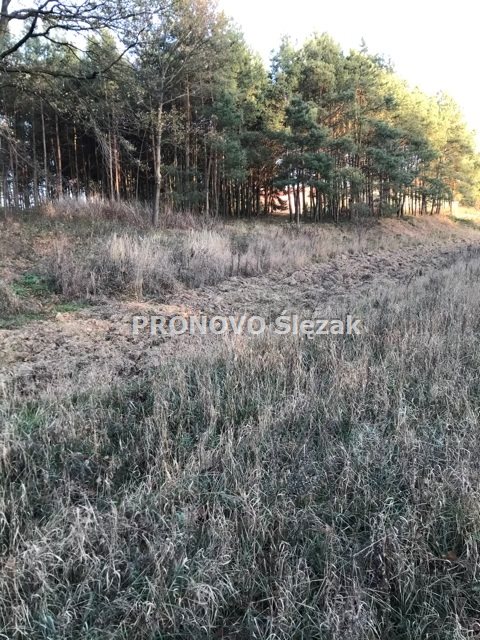 Sprzedam działkę budowlana o pow. 1878m2 Wilczynie miniaturka 3