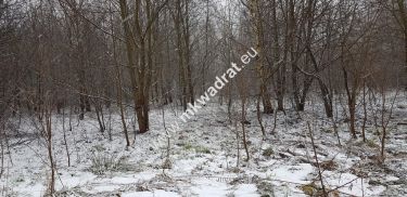 Działka z planem zagospodarowania
