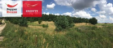 Obozin, 210 000 zł, 30.52 ar, przyłącze prądu