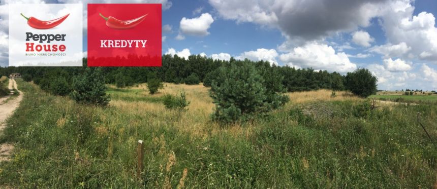 Obozin, 210 000 zł, 30.52 ar, przyłącze prądu - zdjęcie 1