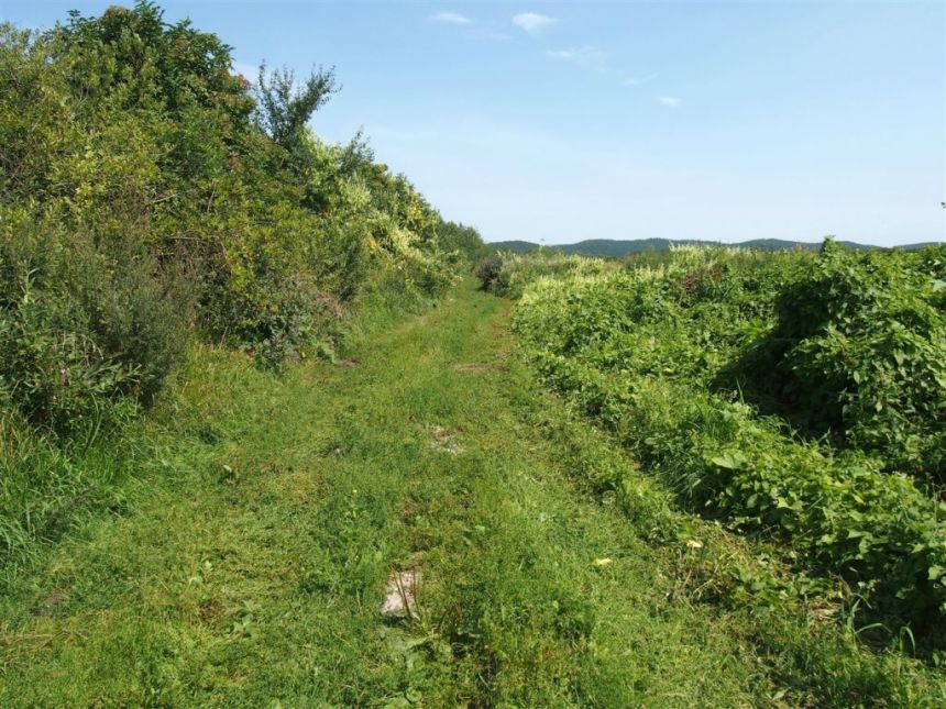 Reda, 1 905 000 zł, 1.27 ha, rolna miniaturka 5