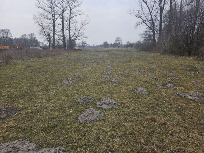 Sanie, 750 000 zł, 2.51 ha, przyłącze prądu miniaturka 9