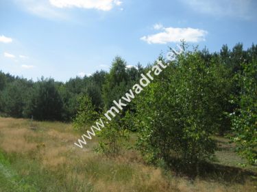 Siestrzeń, 1 428 000 zł, 51 ar, inwestycyjna