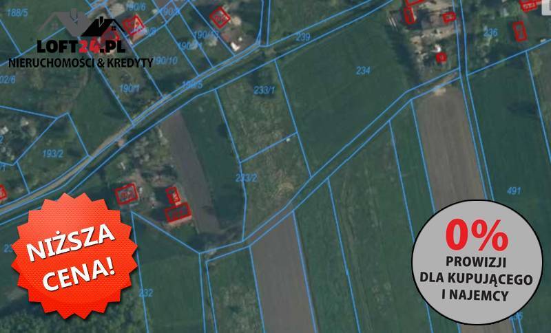 Niemstów, 48 000 zł, 14.83 ar, prostokątna miniaturka 3