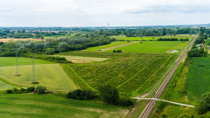 Działka inwestycyjna - wysoki  i szybki zysk miniaturka 10